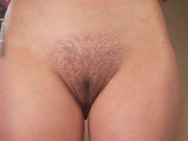 OrsonHodge webcam