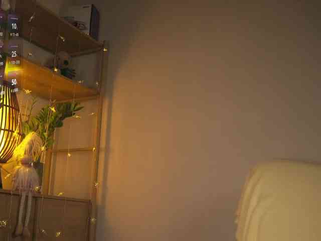 OrsonHodge webcam