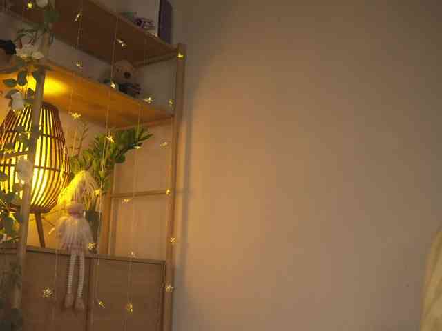 OrsonHodge webcam