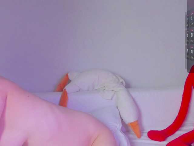may-flower live cam on BongaCams