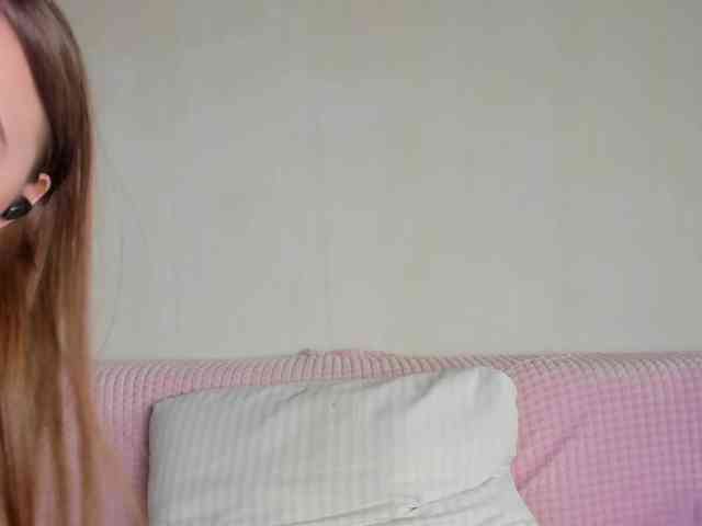 may-flower webcam