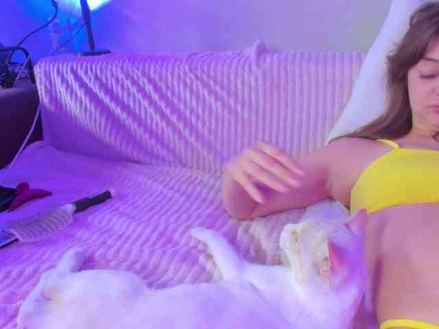may-flower webcam