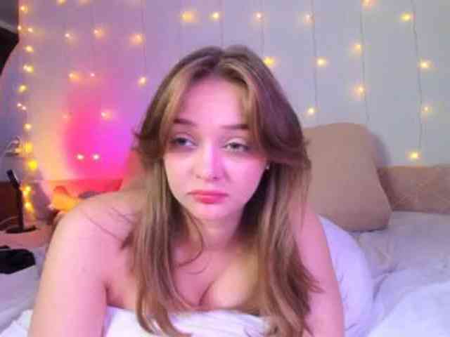 may-flower webcam