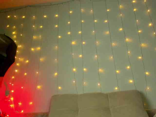 may-flower webcam