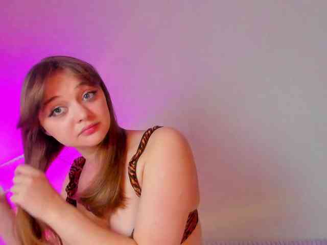 may-flower webcam
