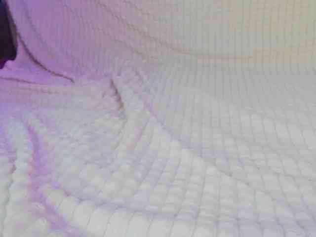 may-flower webcam