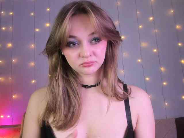 may-flower webcam