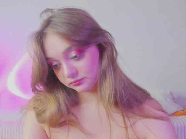 may-flower webcam