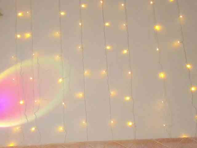 may-flower webcam