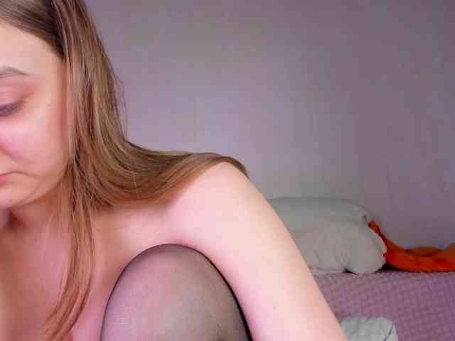 may-flower webcam