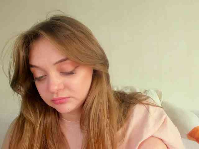 may-flower webcam