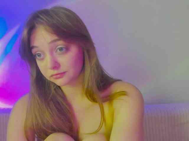 may-flower webcam