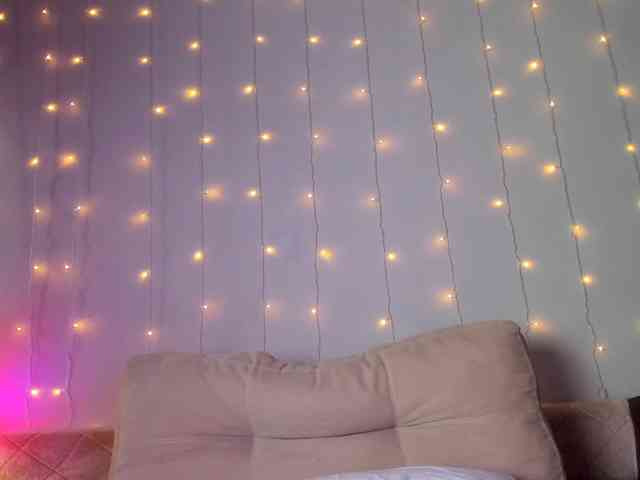 may-flower webcam