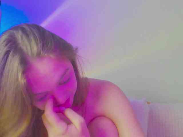 may-flower webcam