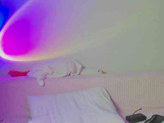 may-flower webcam