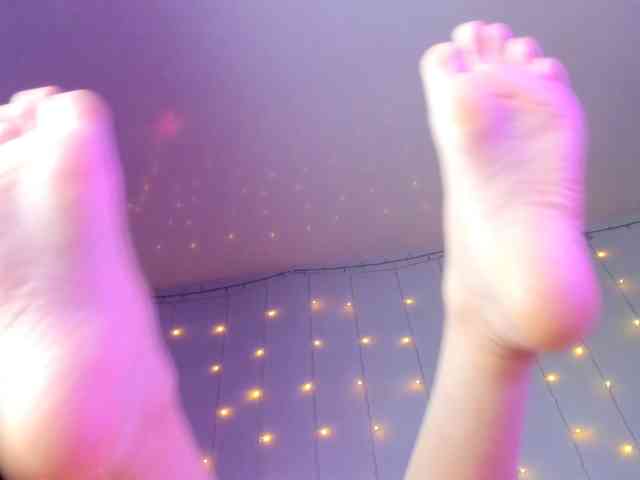 may-flower webcam