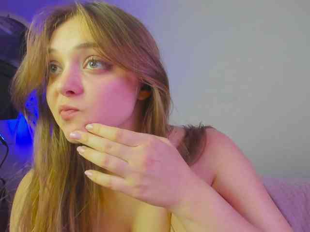 may-flower webcam
