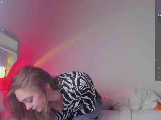 may-flower webcam