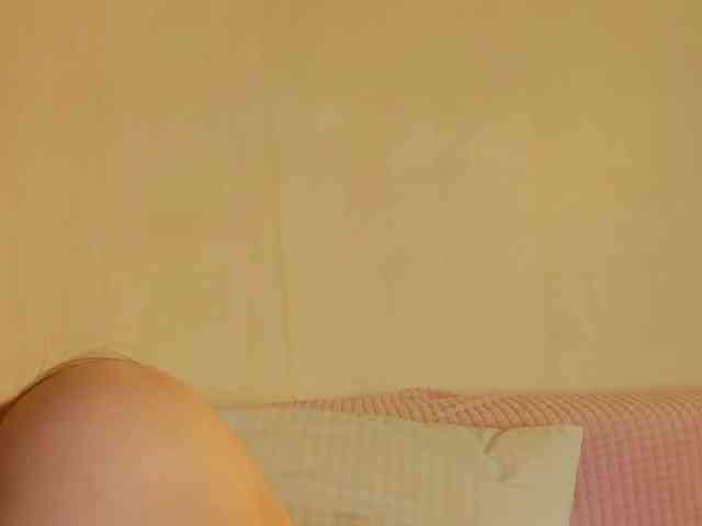may-flower webcam