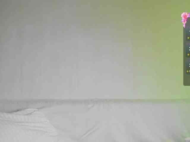 may-flower webcam