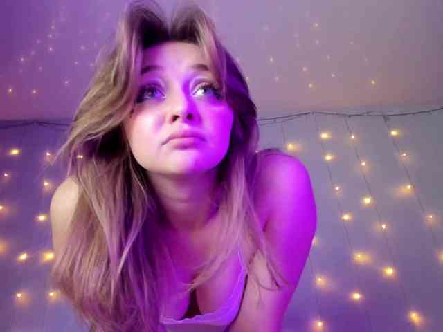 may-flower webcam