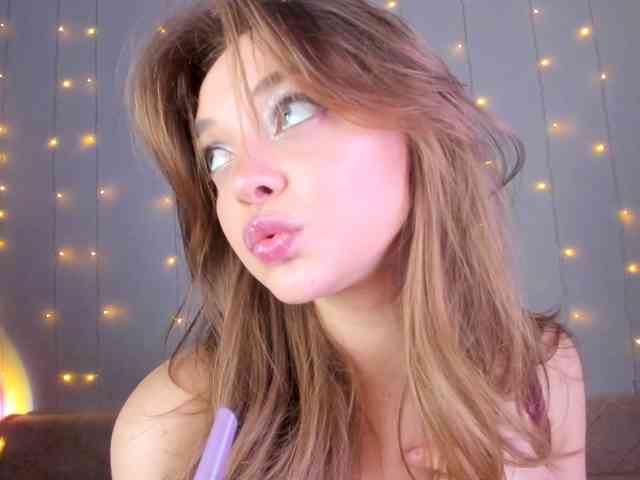 may-flower webcam