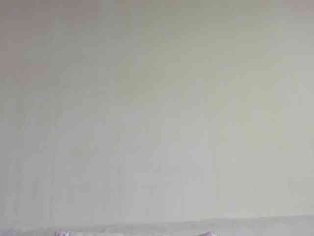 may-flower webcam