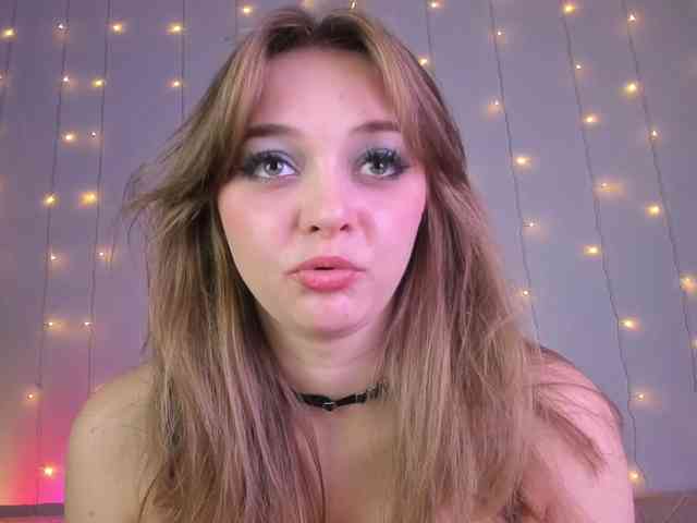 may-flower webcam