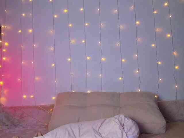 may-flower webcam