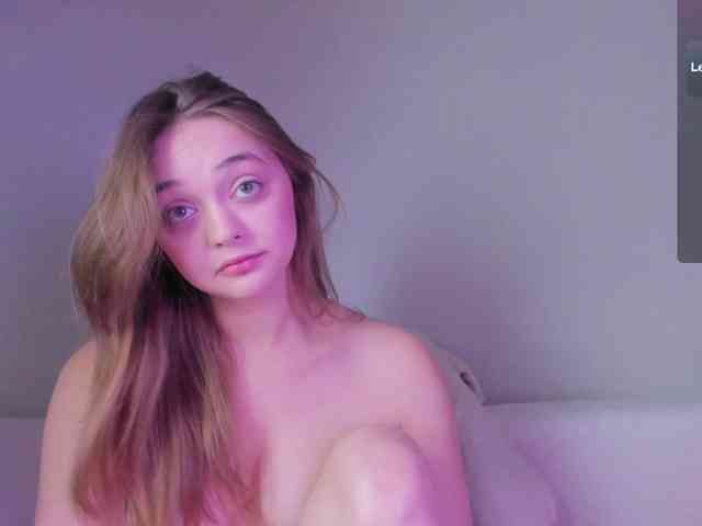 may-flower webcam