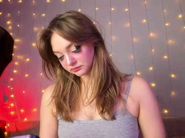 may-flower webcam