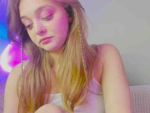 may-flower webcam