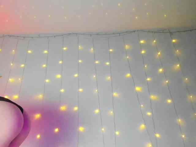 may-flower webcam