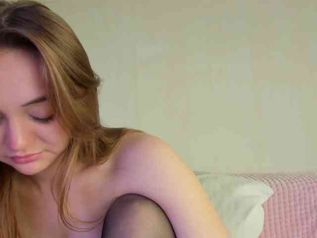 may-flower webcam