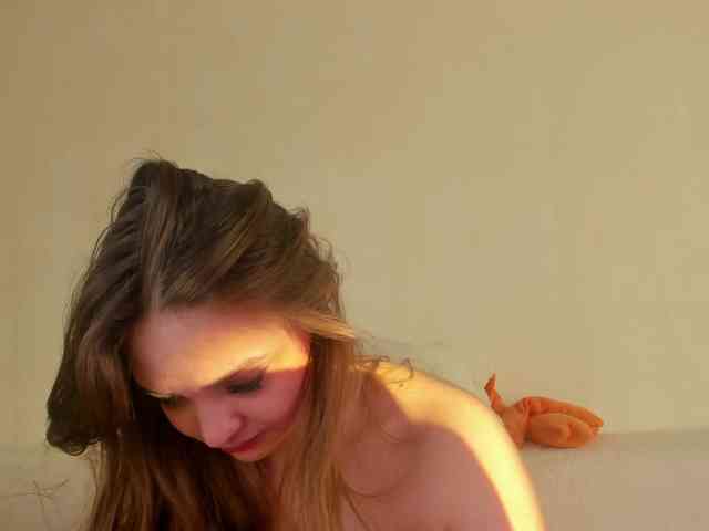 may-flower webcam