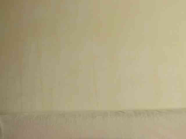 may-flower webcam