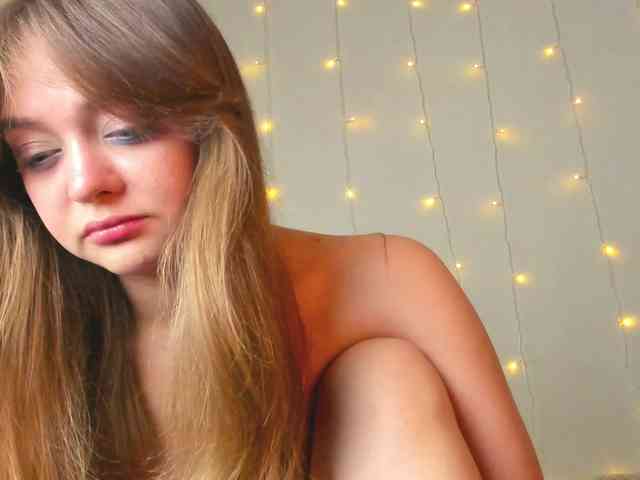 may-flower webcam