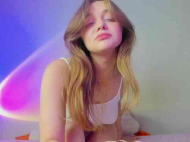 may-flower webcam