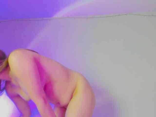 may-flower webcam