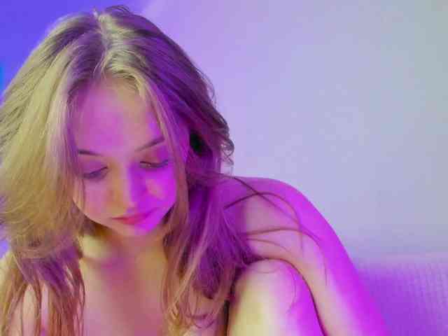 may-flower webcam