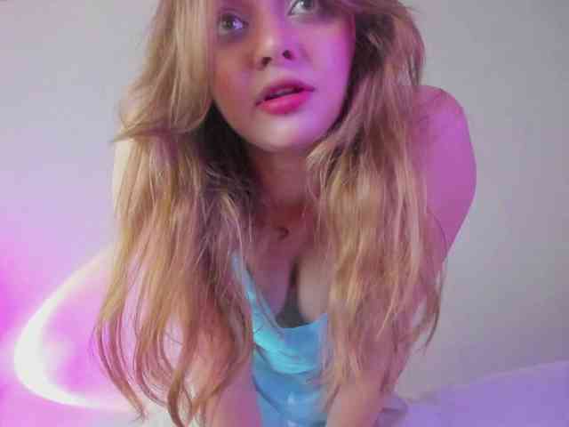 may-flower webcam