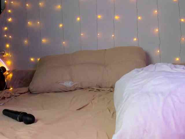 may-flower webcam