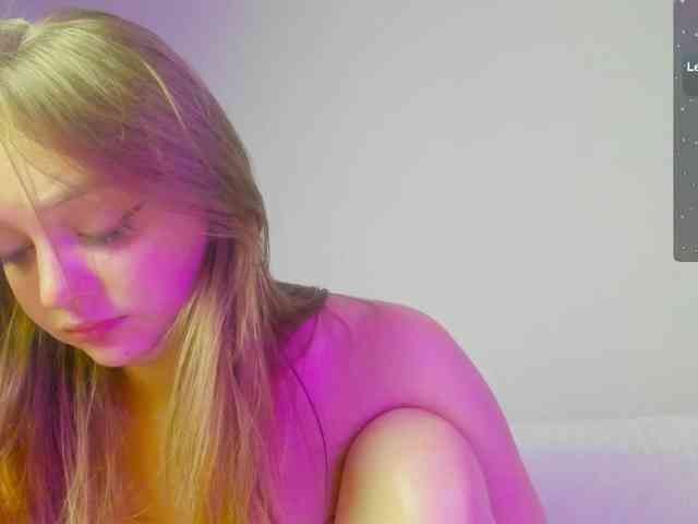 may-flower webcam