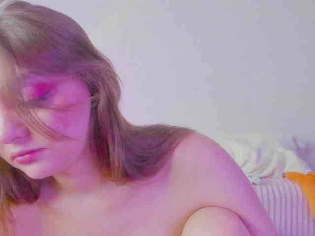may-flower webcam