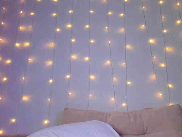 may-flower webcam