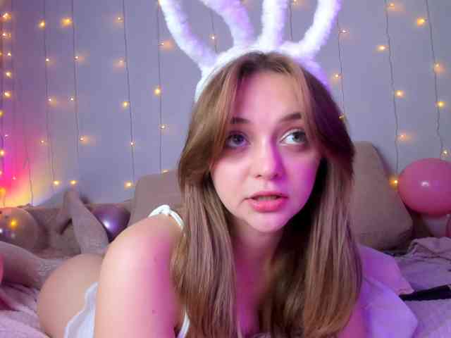 may-flower webcam