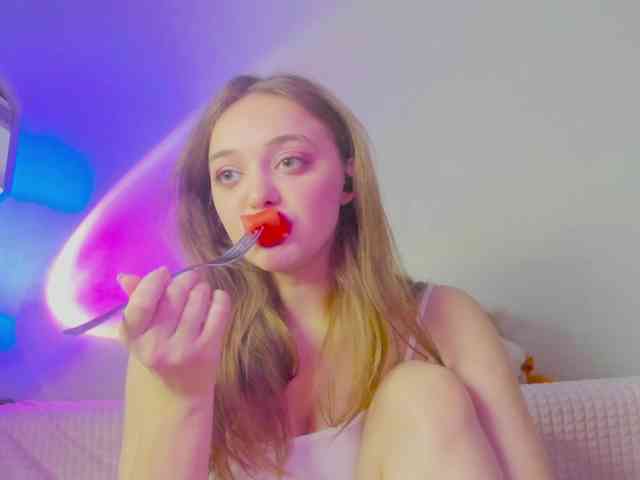 may-flower webcam