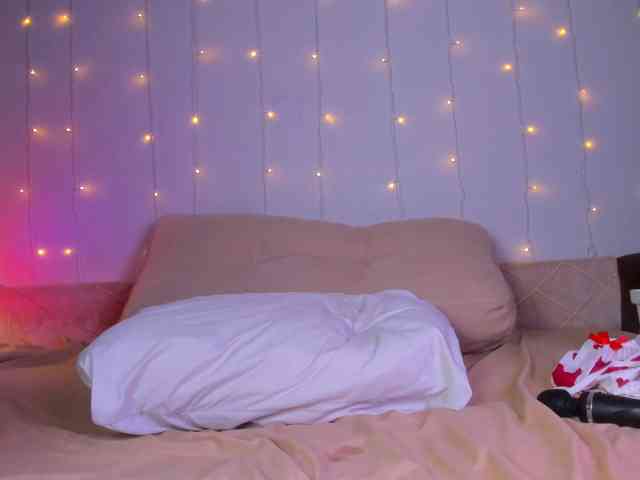 may-flower webcam