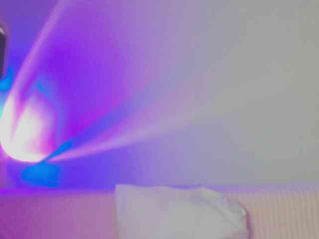 may-flower webcam