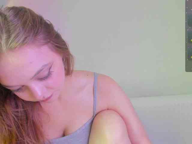 may-flower webcam